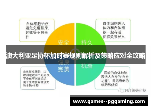 澳大利亚足协杯加时赛规则解析及策略应对全攻略