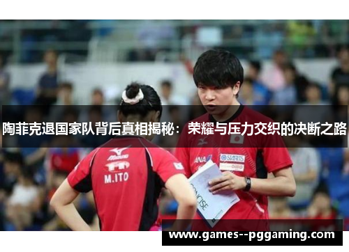 陶菲克退国家队背后真相揭秘：荣耀与压力交织的决断之路