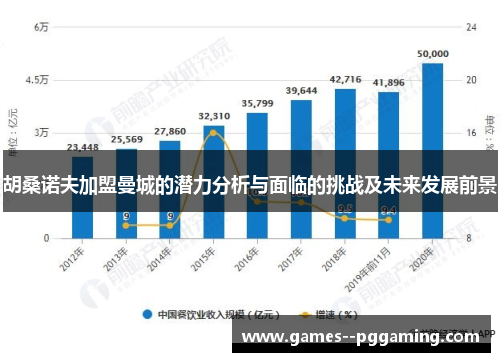 胡桑诺夫加盟曼城的潜力分析与面临的挑战及未来发展前景