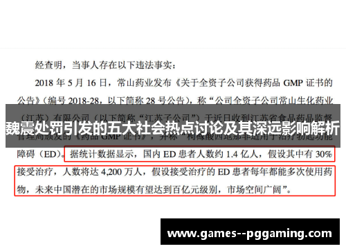魏震处罚引发的五大社会热点讨论及其深远影响解析
