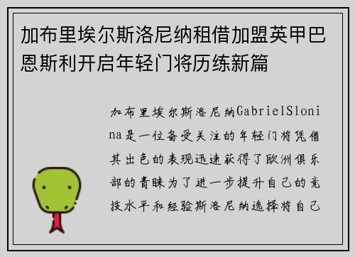 加布里埃尔斯洛尼纳租借加盟英甲巴恩斯利开启年轻门将历练新篇